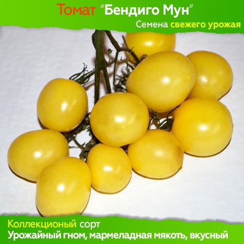 Семена томата Бендиго Мун (гном) - коллекционный сорт