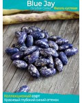 Семена фасоли Blue Jay - коллекционный сорт