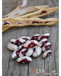 Семена фасоли Cannellino Rosso - коллекционный сорт