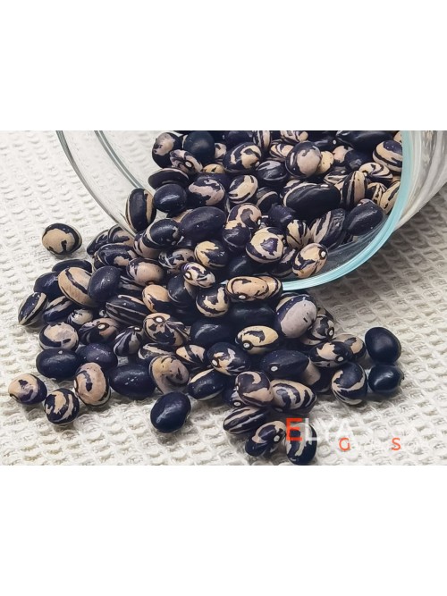 Семена фасоли Kiagara Mame - коллекционный сорт
