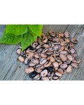 Семена фасоли Mother Earth - коллекционный сорт