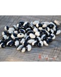 Семена фасоли Orca - коллекционный сорт