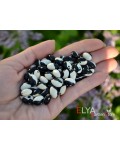Семена фасоли Orca - коллекционный сорт