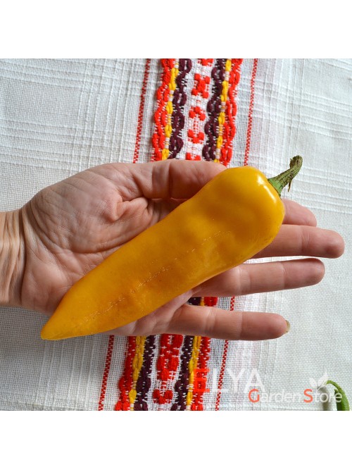 Семена острого перца Петит Марсельез - коллекционный сорт