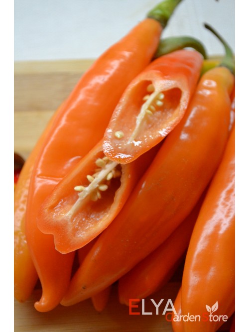 Семена сладкого перца Бананчик Оранжевый - коллекционный сорт