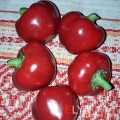 Семена сладкого перца Гогошары Красный - коллекционный сорт