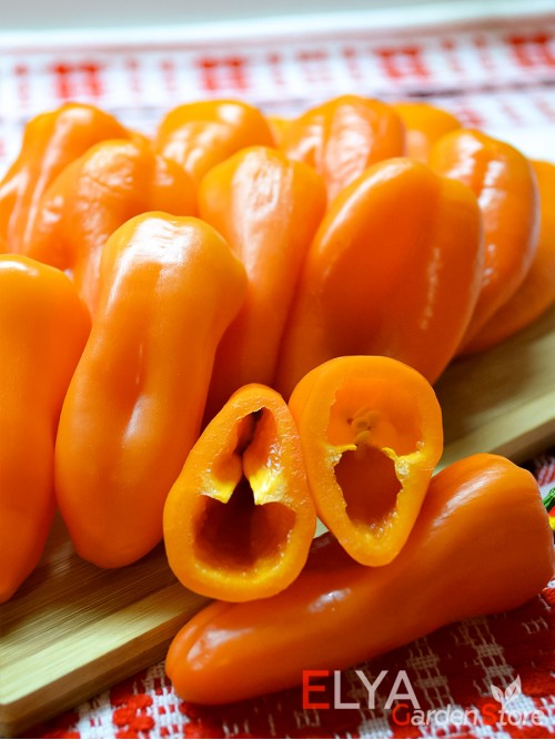 Семена сладкого перца Апельсин - коллекционный сорт