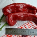 Семена сладкого перца Корно ди Торро Красный - коллекционный сорт