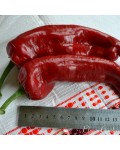 Семена сладкого перца Корно ди Торро Красный - коллекционный сорт