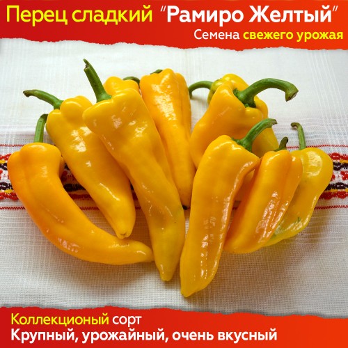 Семена сладкого перца Рамиро Желтый - коллекционный сорт