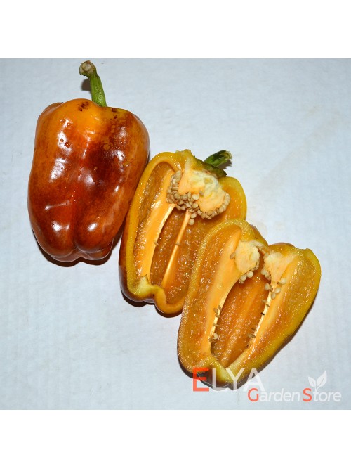 Семена сладкого перца Клякса - коллекционный сорт