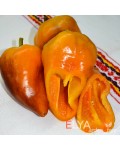 Семена сладкого перца Леся Желтая - коллекционный сорт