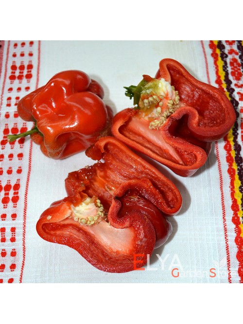 Семена сладкого перца Нижегородец - коллекционный сорт