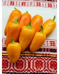 Семена сладкого перца Абрикосовая Фаворитка - коллекционный сорт