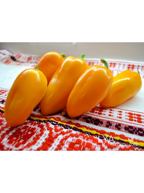 Семена сладкого перца Абрикосовая Фаворитка - коллекционный сорт