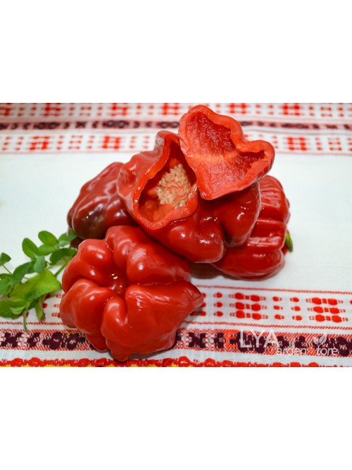 Семена сладкого перца Громозека Буф - коллекционный сорт