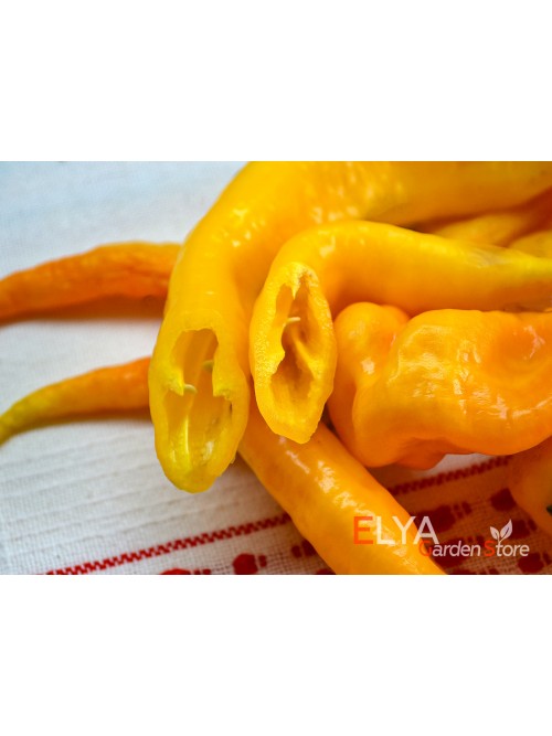 Семена сладкого перца Змейка Желтая - коллекционный сорт