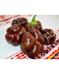 Семена сладкого перца Браун Корал - коллекционный сорт