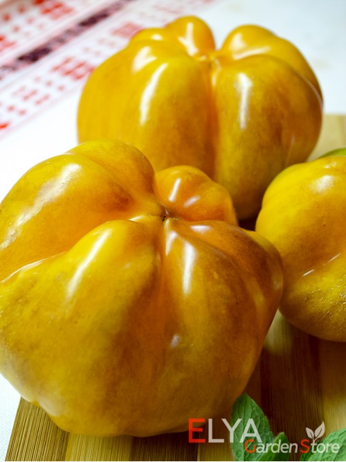 Семена сладкого перца Топепо Желтый - коллекционный сорт