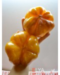 Семена сладкого перца Топепо Желтый - коллекционный сорт