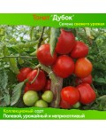 Семена томата Дубок - коллекционный сорт