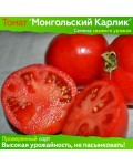 Семена томата Монгольский Карлик (гном) - коллекционный сорт