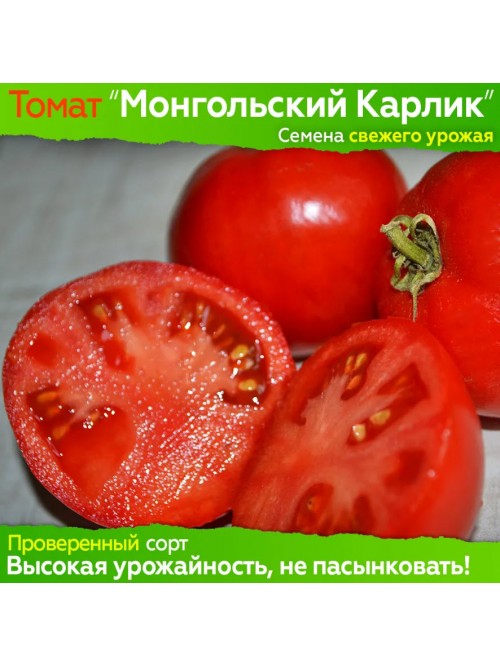 Семена томата Монгольский Карлик (гном) - коллекционный сорт