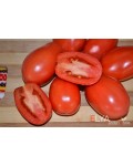 Семена томата Сливка Бендрика Красная - коллекционный сорт