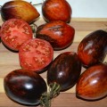 Семена томата Гаргамель - коллекционный сорт 