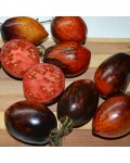 Семена томата Гаргамель - коллекционный сорт 