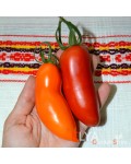 Семена томата Пальмира - коллекционный сорт