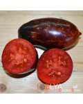 Семена томата Бой с Тенью (гном) - коллекционный сорт