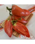 Семена томата Корейский Длинноплодный - коллекционный сорт