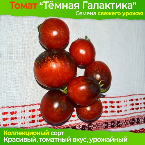 Семена томата Темная Галактика - коллекционный сорт