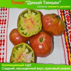 Семена томата Дикий Тимьян - коллекционный сорт