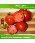 Семена томата Вова Путин - коллекционный сорт