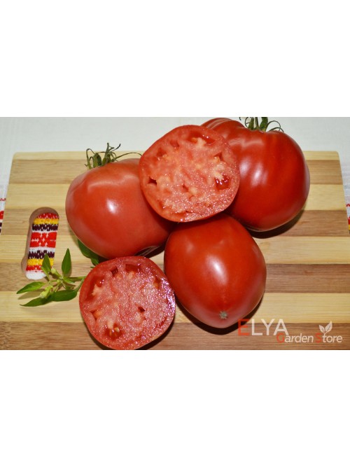 Семена томата Вова Путин - коллекционный сорт