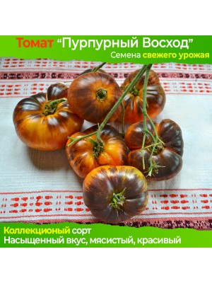 Семена томата Пурпурный Восход - коллекционный сорт