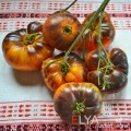 Семена томата Пурпурный Восход - коллекционный сорт