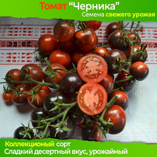 Семена томата Черника - коллекционный сорт