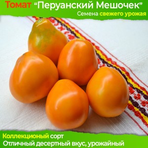 Семена томата Перуанский Мешочек - коллекционный сорт