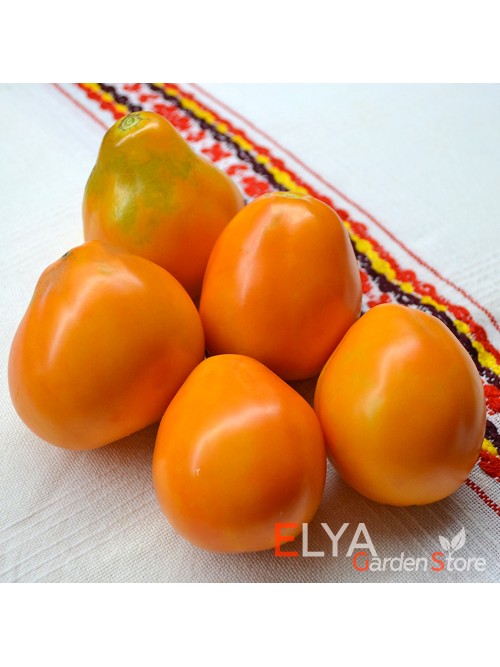 Семена томата Перуанский Мешочек - коллекционный сорт