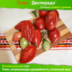 Семена томата Десперадо (гном) - коллекционный сорт