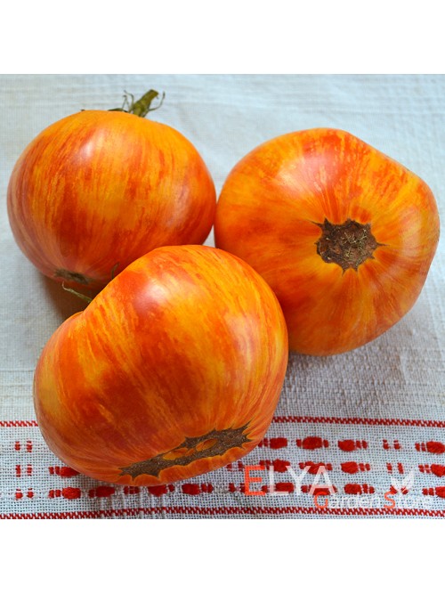 Семена томата Король Красоты - коллекционный сорт