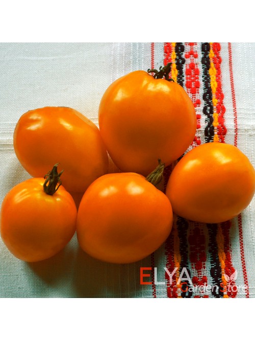 Семена томата Лискин Нос - коллекционный сорт