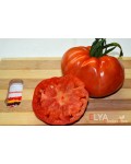 Семена томата Яблочный Люкко - коллекционный сорт