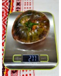 Семена томата Стринги (гном) - коллекционный сорт