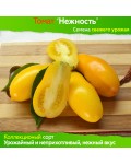Семена томата Нежность - коллекционный сорт