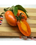 Семена томата Золотая Рыбка - коллекционный сорт