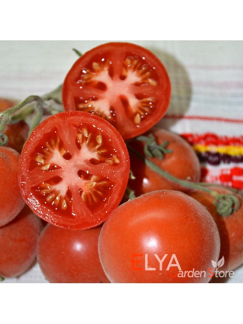 Семена томата Голубая Ель - коллекционный сорт